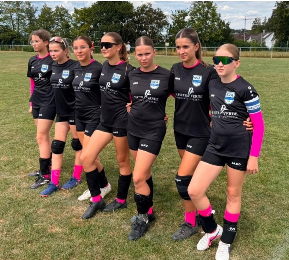 SV Amstetten Berichte Faustball