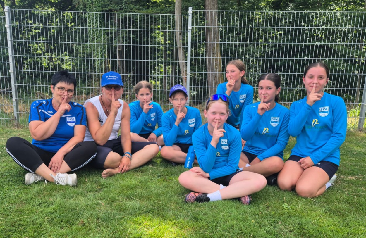 SV Amstetten Berichte Faustball