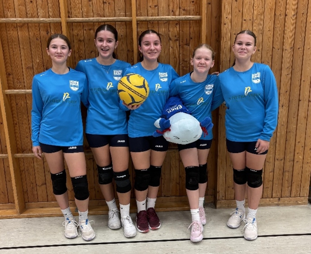 SV Amstetten Berichte Faustball