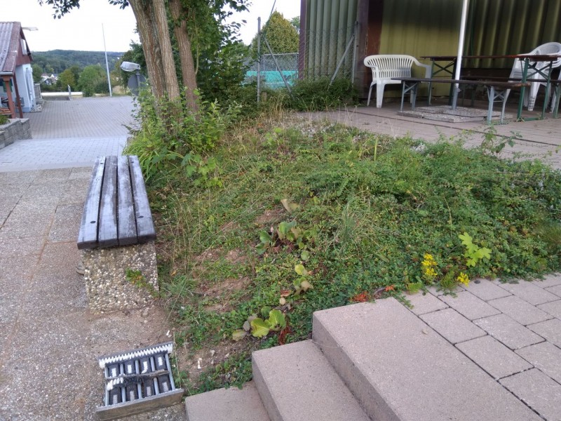 Fotos zu Arbeitsdienst Jahr Tennis SV Amstetten