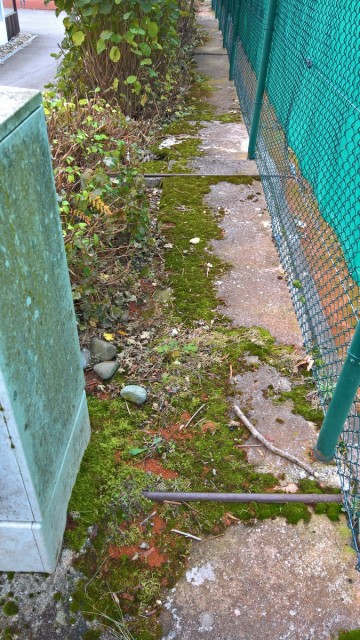 Fotos zu Arbeitsdienst Jahr Tennis SV Amstetten